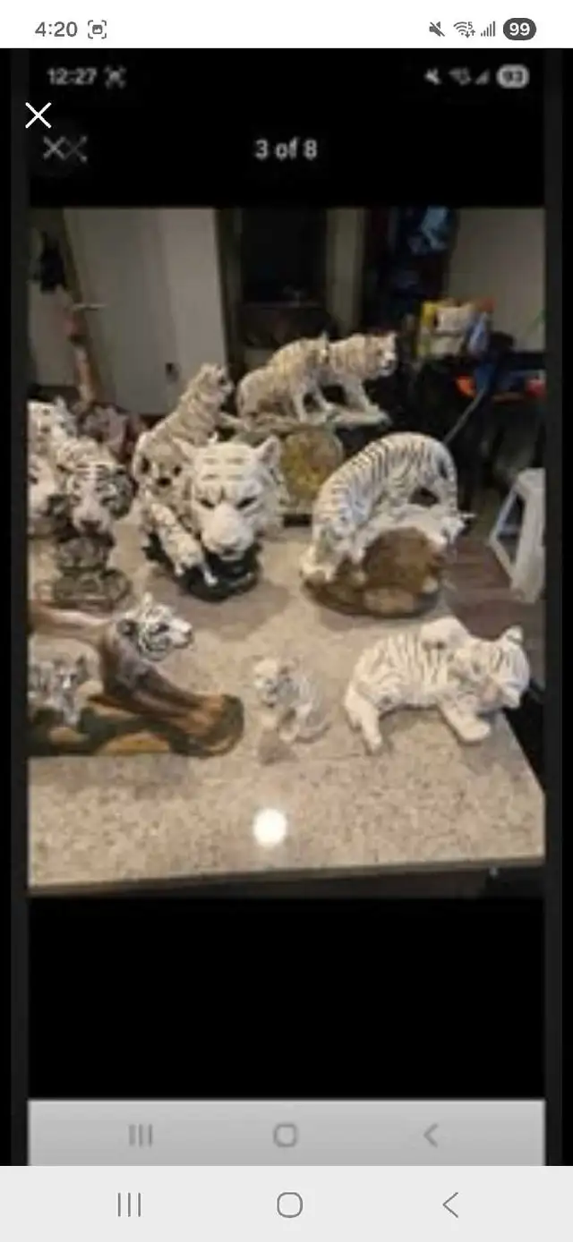 white tiger collection - Photo 3