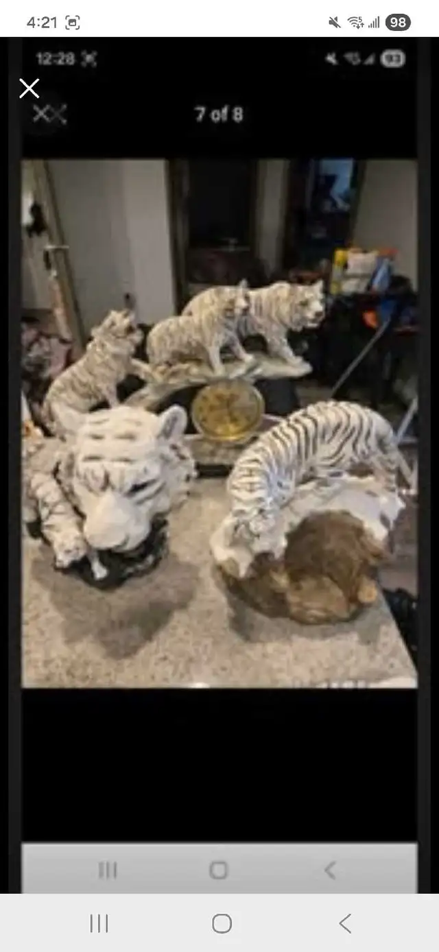 white tiger collection - Photo 7
