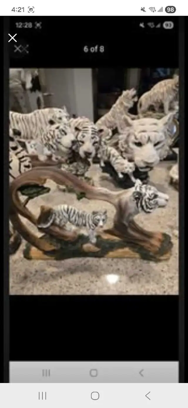 white tiger collection - Photo 8