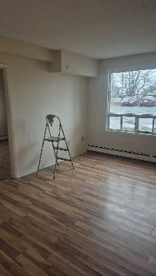 Painter / Handyman