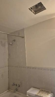 Painter / Handyman - Photo 5