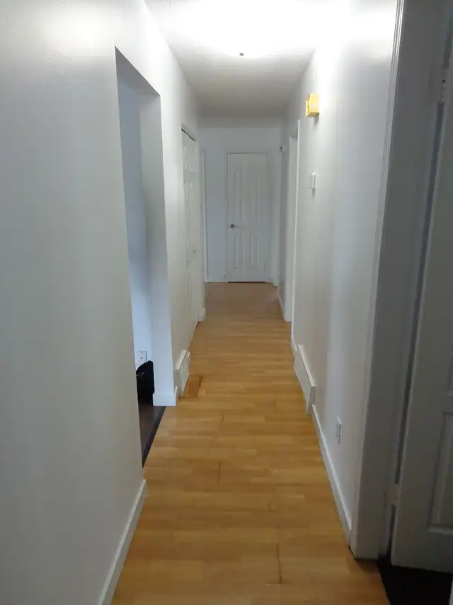 Open, bright 3-bedroom main-floor suite includes utilities - Photo 5