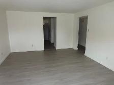 Open, bright 2-bedroom suite in raised bungalow incl utilities - Photo 2