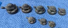 OPIUM WEIGHT SET - TURTLES!