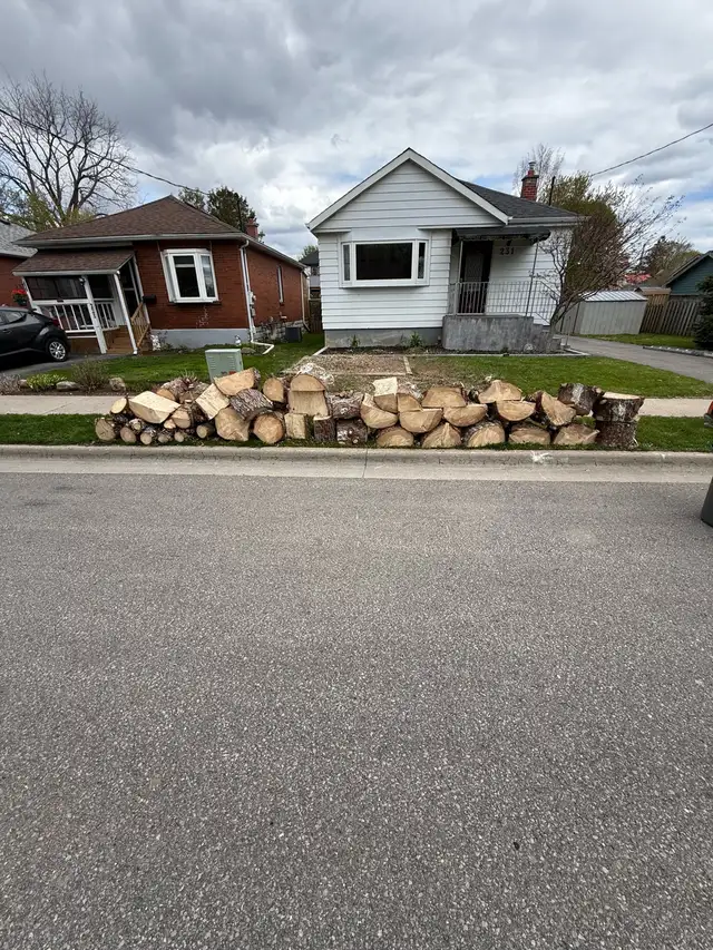 free firewood  cut up ready to split