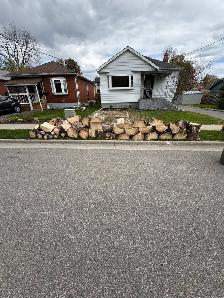 free firewood  cut up ready to split
