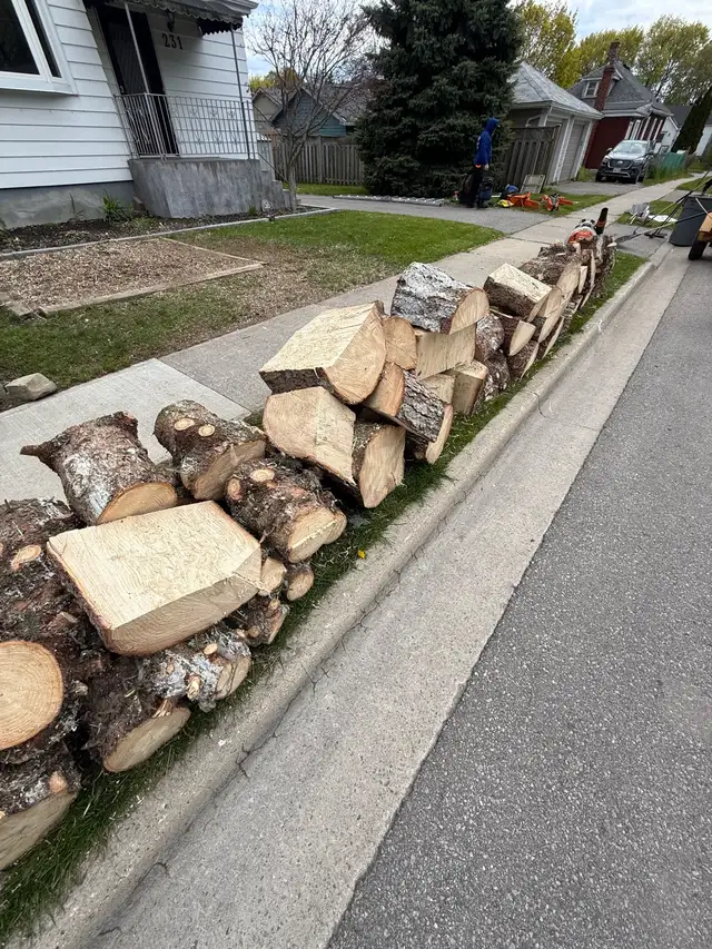 free firewood  cut up ready to split - Photo 2