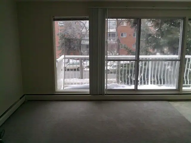 MAY Free! A nice and cozy 1-bedroom suite on 104 str./78 ave.