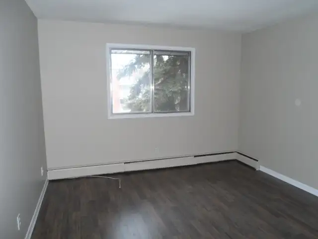 MAY Free! A nice and cozy 1-bedroom suite on 104 str./78 ave. - Photo 2