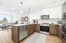 Brand New! 1 Bed 1 Bath Monarch Suite at Aspen | aspenrentals.ca