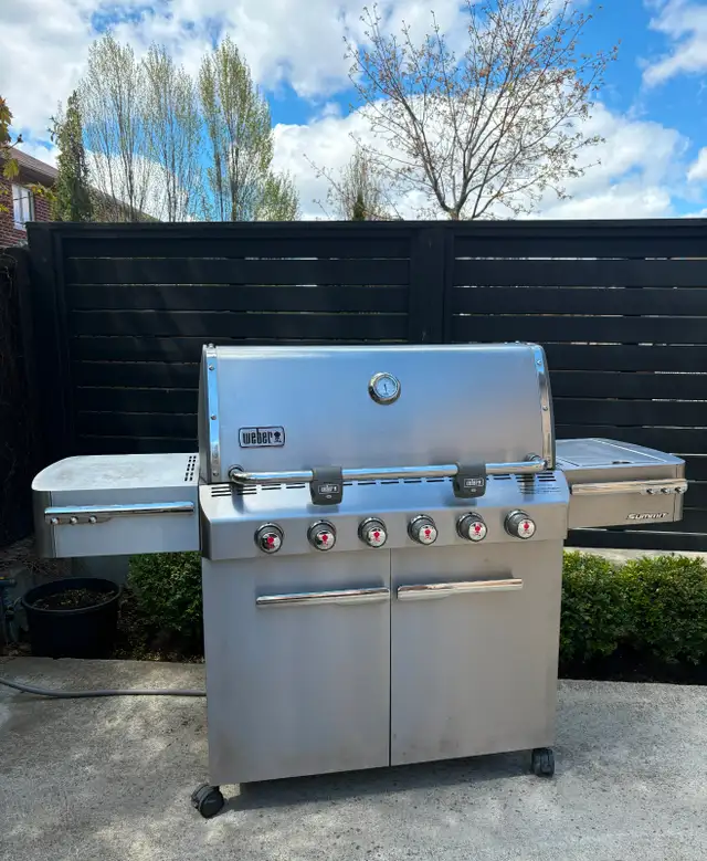 Weber Summit Stainless Steel BBQ – Premium Model