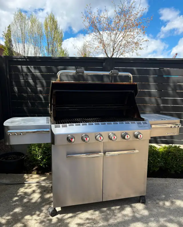 Weber Summit Stainless Steel BBQ – Premium Model - Photo 6
