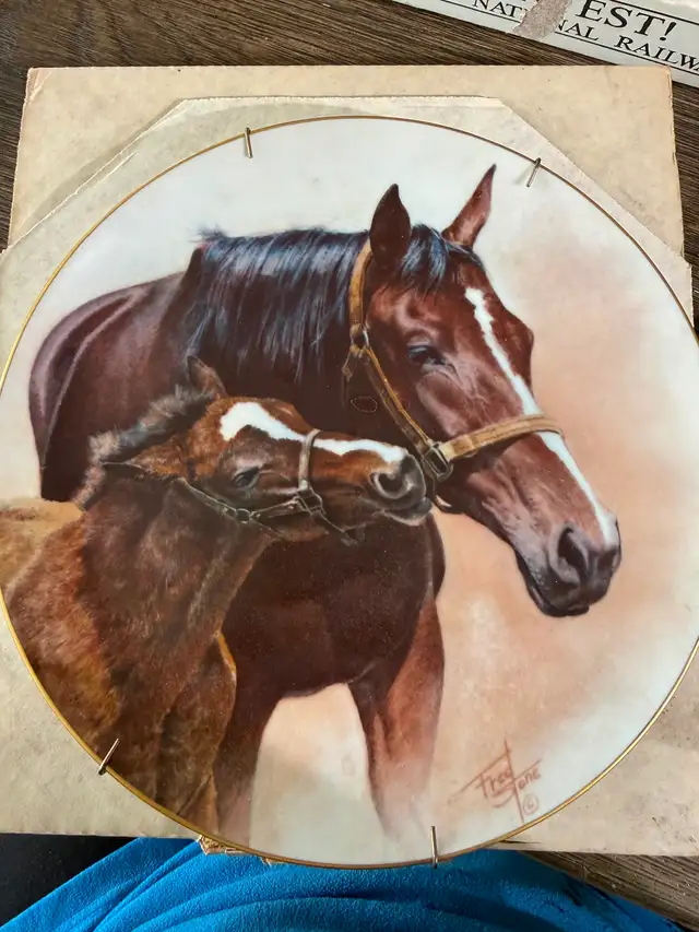Collector plates