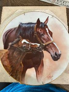 Collector plates