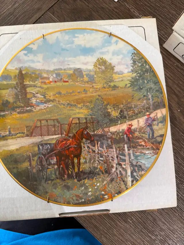 Collector plates - Photo 5