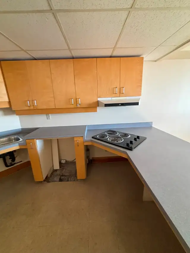 Group Living with Private Suites - 122 Cumberland Street S - Photo 4