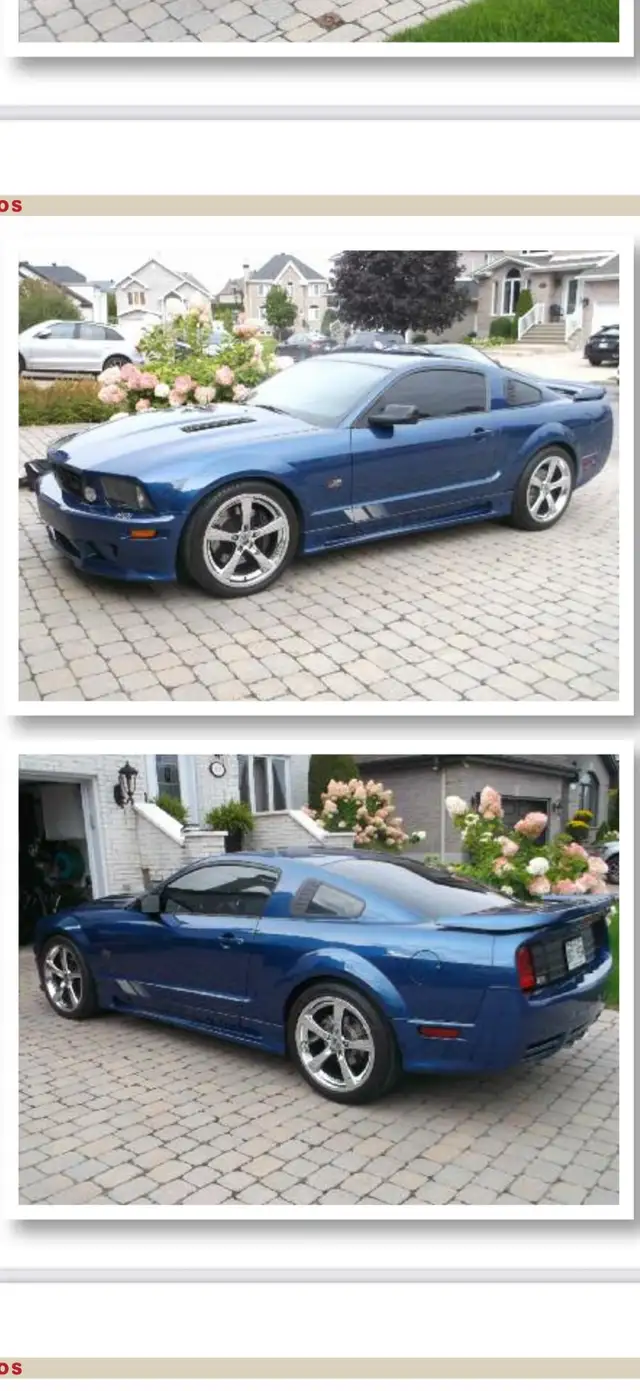 2008 Mustang Saleen