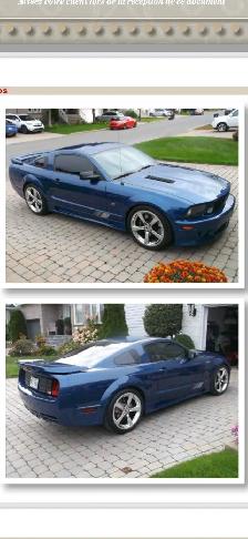 2008 Mustang Saleen - Photo 2