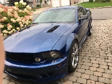 2008 Mustang Saleen - Photo 3