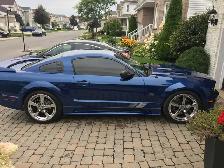 2008 Mustang Saleen - Photo 5