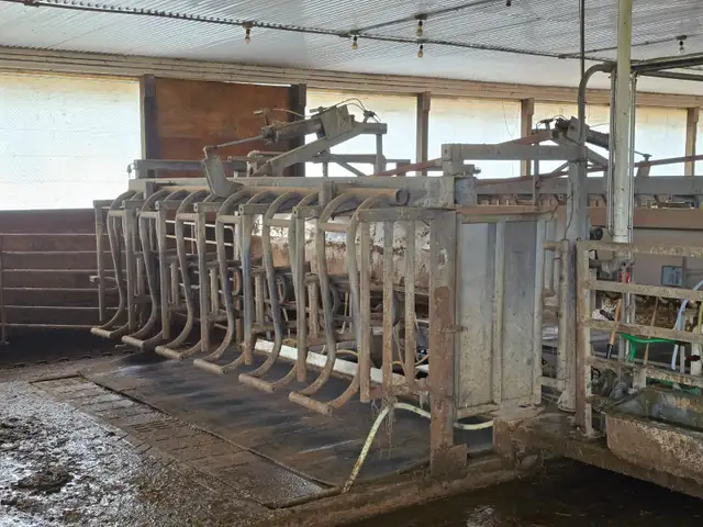 Double 6 Parallel Parlor for Sale