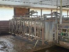 Double 6 Parallel Parlor for Sale