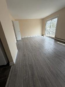 Newmarket 2 Bedroom Apartment in quiet building - Photo 3