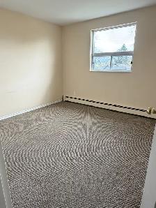 Newmarket 2 Bedroom Apartment in quiet building - Photo 4