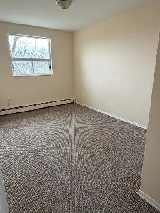 Newmarket 2 Bedroom Apartment in quiet building - Photo 5