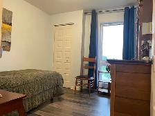3 chambres avec électros- 3 Bedroom with applicanc for rent - Photo 5