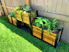 Custom Cedar Planter Boxes - Available Now - Photo 6