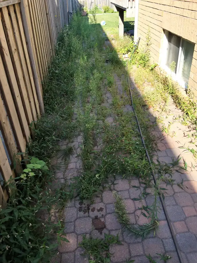 POWER WASH AND SEAL BUSINESS FOR SALE