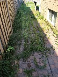 POWER WASH AND SEAL BUSINESS FOR SALE