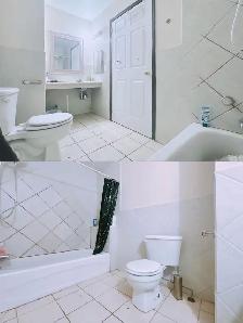 UTSC and Centennial College 3 rooms apartment for rental - Photo 10