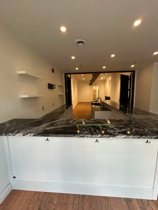 Beautiful Granite Countertops, Cabinets and Bar sink - Photo 5