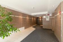 1-bed apartment for rent, July 1, Snowdon, HEC, UdeM - ID 4472 - Photo 9
