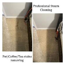 The Professional Crapet,Rug And Couch,Cleaning