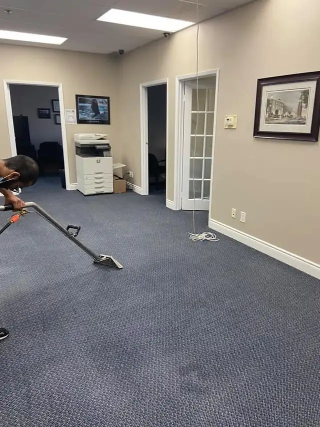 The Professional Crapet,Rug And Couch,Cleaning - Photo 2