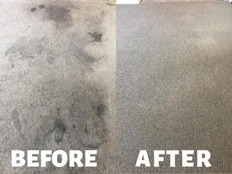 The Professional Crapet,Rug And Couch,Cleaning - Photo 5