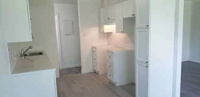 Beau 4 1/2 rénové LIBRE DÈS MAINTENANT!
