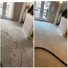 The Professional Crapet,Rug And Couch,Cleaning
