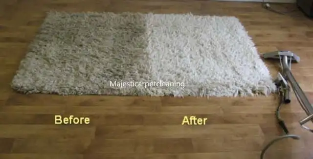 The Professional Crapet,Rug And Couch,Cleaning - Photo 3