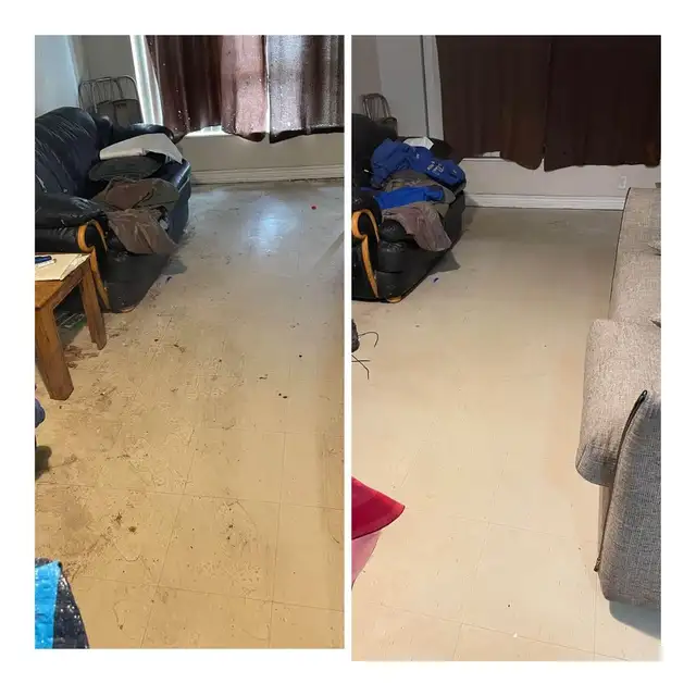 The Professional Crapet,Rug And Couch,Cleaning - Photo 4