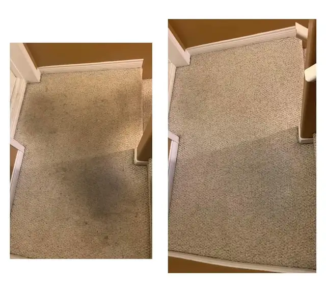 The Professional Crapet,Rug And Couch,Cleaning - Photo 5