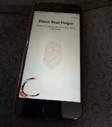 Apple iPhone SE Red - Photo 3