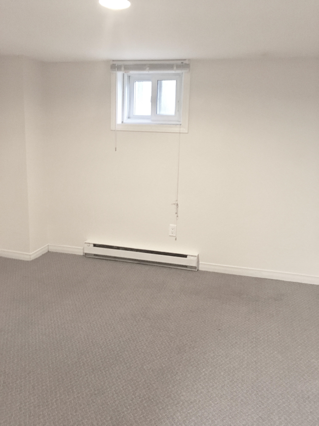 Spacious Basement Unit Right By The Iron Horse Trail - Photo 5