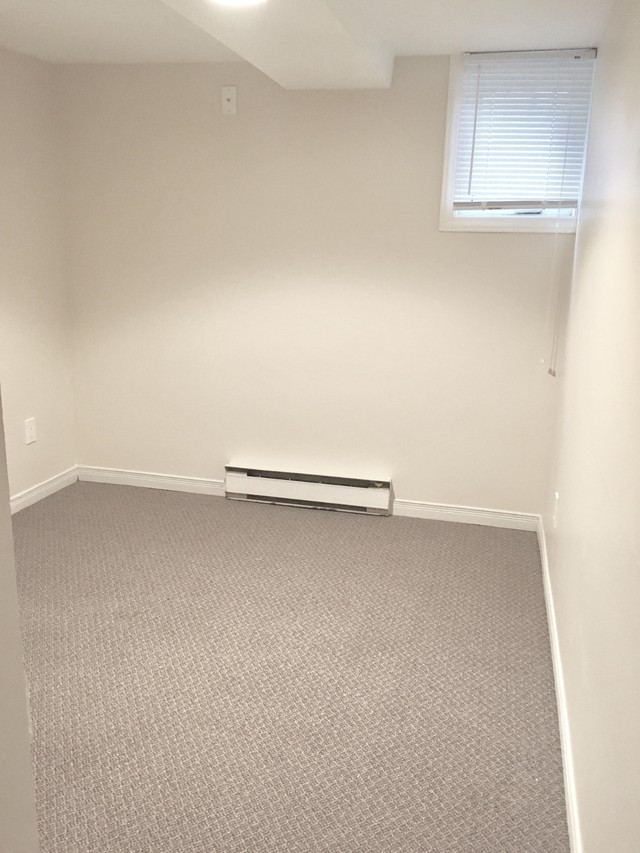 Spacious Basement Unit Right By The Iron Horse Trail - Photo 7