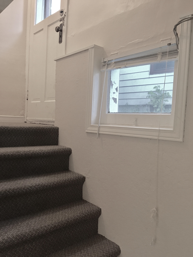 Spacious Basement Unit Right By The Iron Horse Trail - Photo 8