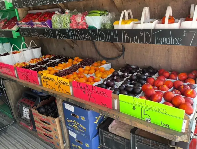 Salesperson to operate BC Fruit Truck - Photo 3