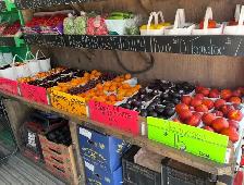Salesperson to operate BC Fruit Truck - Photo 3